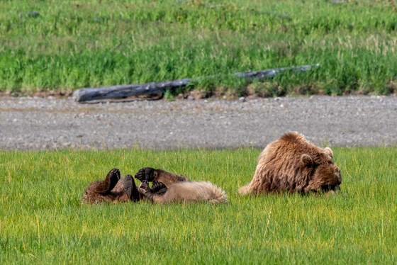 Katmai National Park and Preserve 