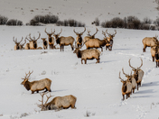 Grand Teton National Park