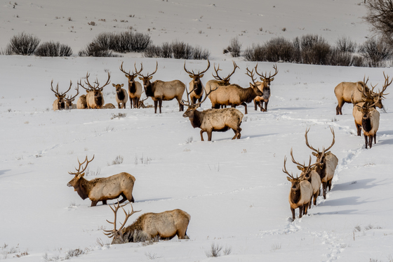 Grand Teton National Park