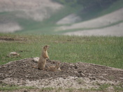 Badland National Park