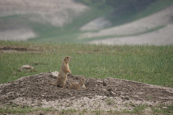Badland National Park