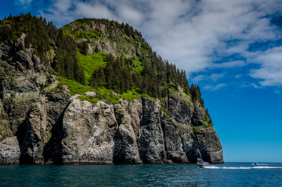 Kenai Fjords National Park