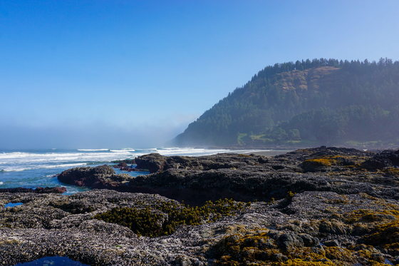 Cape Perpetua Scenic Area