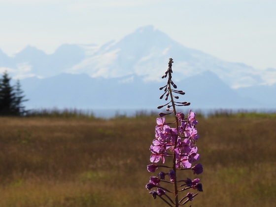 Lake Clark National Park