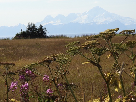Lake Clark national park