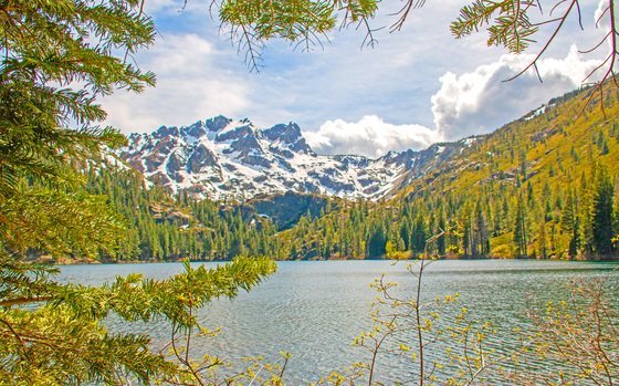 Tahoe National Forest