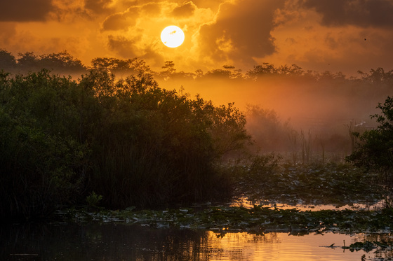 Everglades National Park