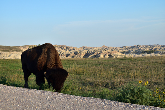 Badlands National Park