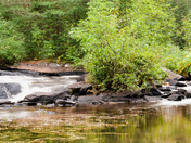 Early Autumn Panorama