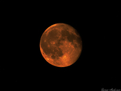 Harvest Moon - Blood Moon - Lunar Eclipse