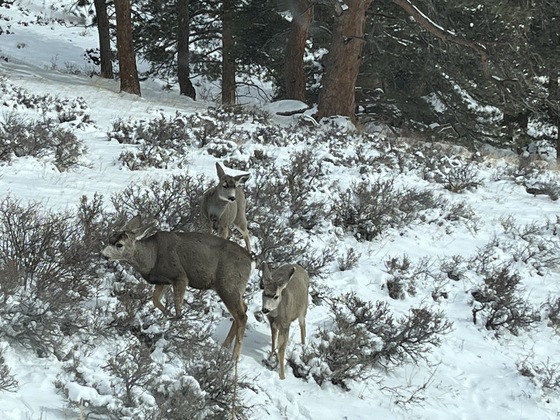 Rocky Mountain National Park