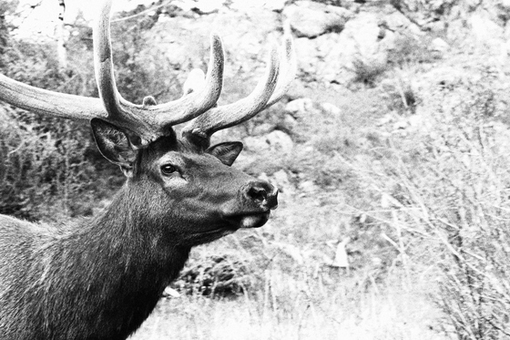 Rocky Mountain National Park
