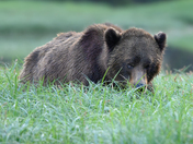 One eye on you - always