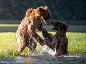 In the shadow of its rival