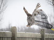 I'm Freeeeeeee!!!!!!!