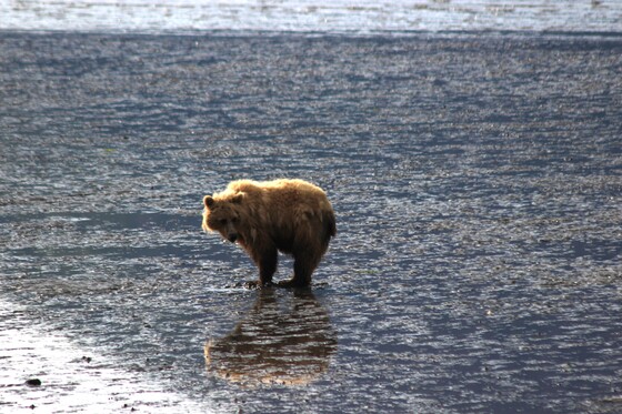 Lake Clark National Park