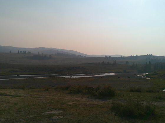Yellowstone National Park