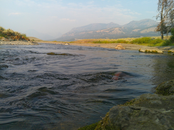 Yellowstone National Park