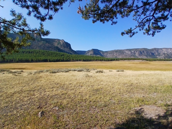 Yellowstone National Park