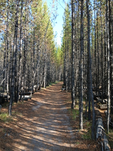 Yellowstone National Park