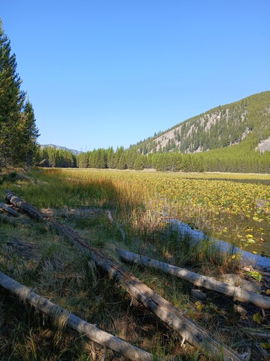 Yellowstone National Park