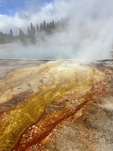 Yellowstone National Park