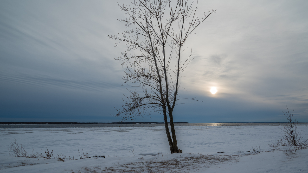 Winter Gloom 