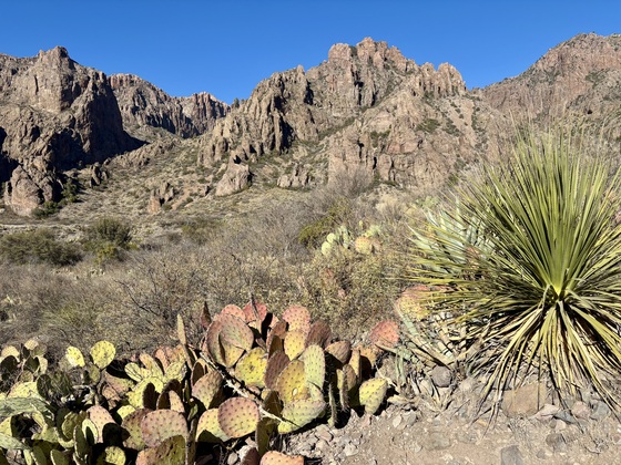 Big Bend National Park