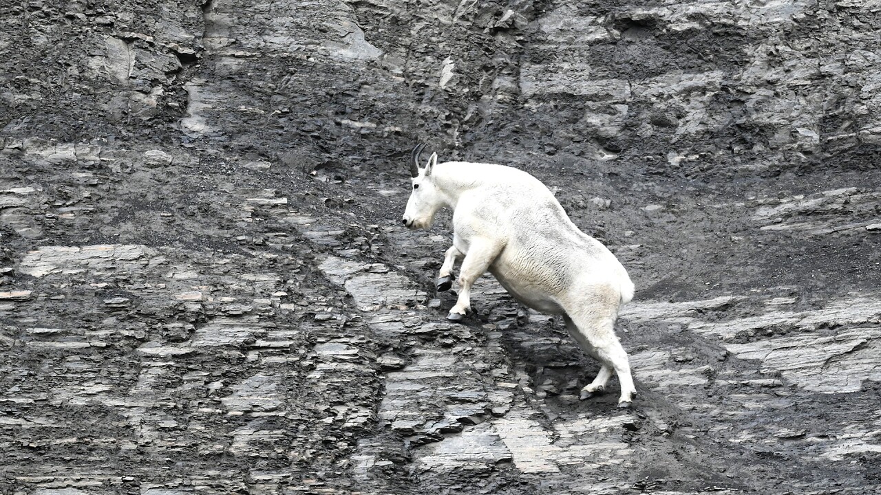 The climb