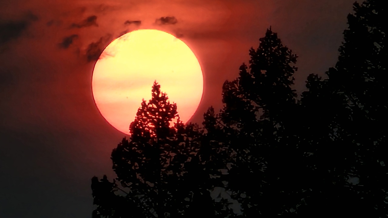 Embers of the sky