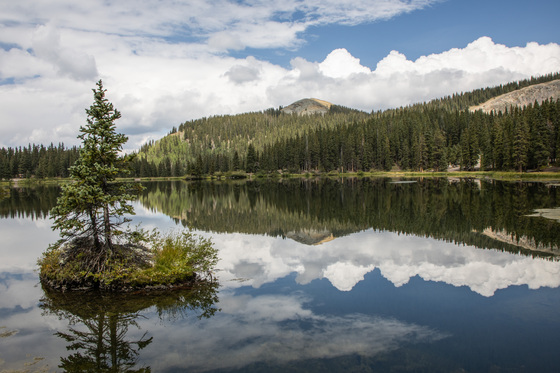 Uncompahgre National Forest