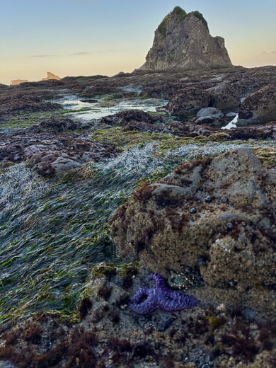 Rialto Beach Olympic National Park