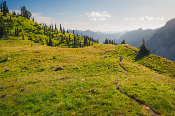 Mount Rainier National Park