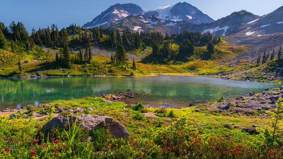 Mount Rainier National Park