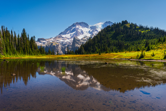 Mount Rainier National Park