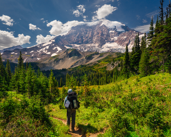 Mount Rainier National Park