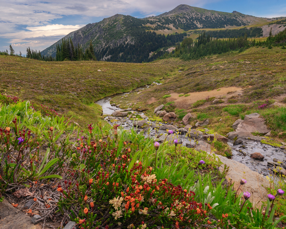 Mount Rainier National Park