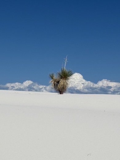 White Sands National Park 