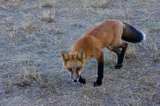 San Juan Islands National Wildlife Refuge