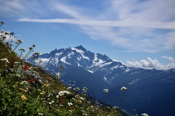 Mount Baker Snoqualmie National Forest