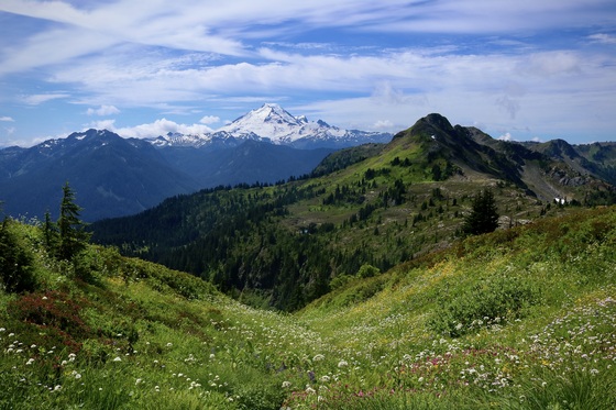 Mount Baker Snoqualmie National Forest