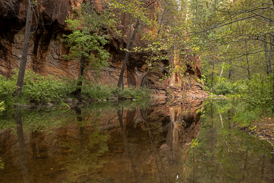 Coconino National Forest