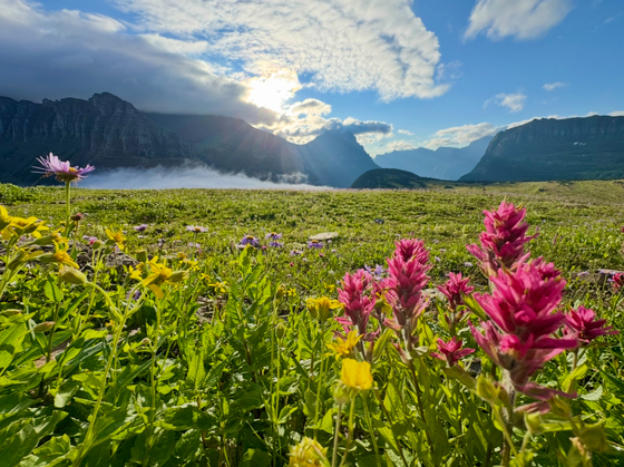 Glacier National Park