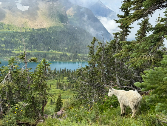 Glacier National Park