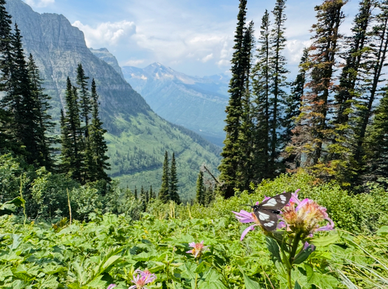 Glacier National Park