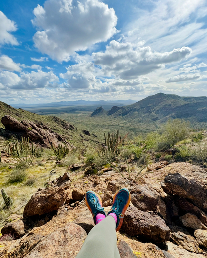 Organ Pipe Cactus National Monument 