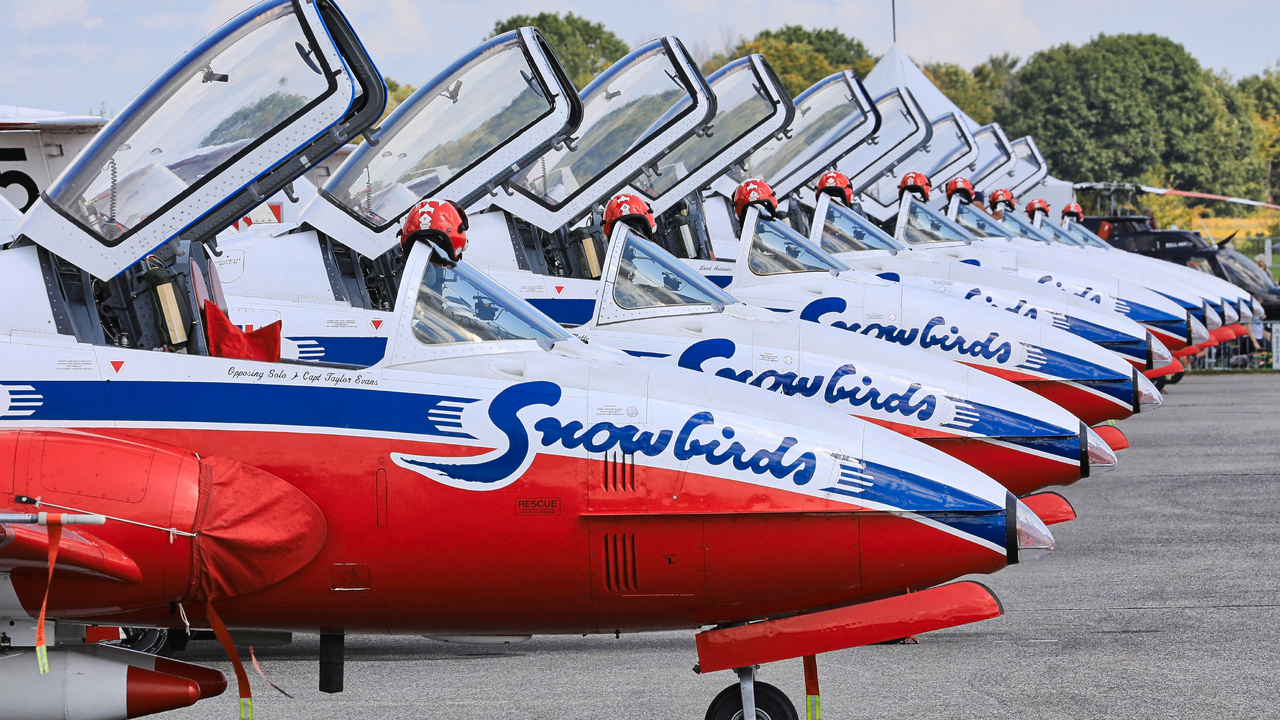 RCAF Snowbirds - Nose and Helmets