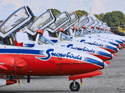 RCAF Snowbirds - Nose and Helmets