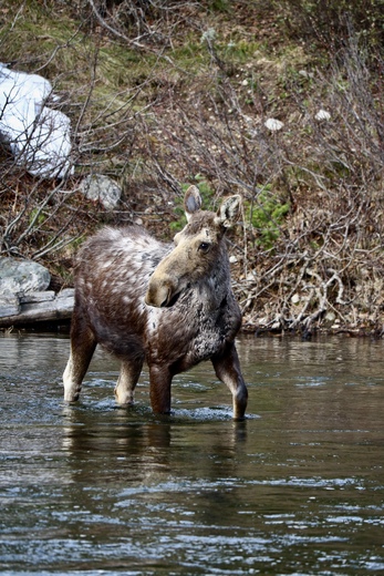 Grand Teton National Park