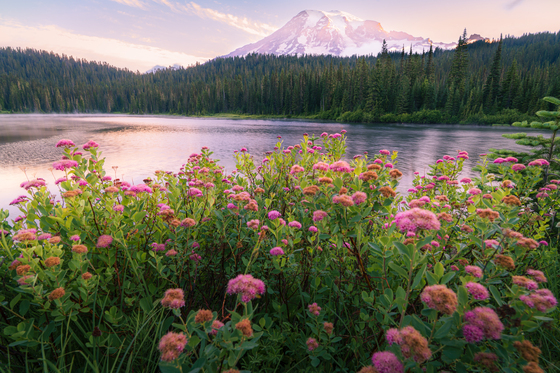 Mt. Rainier National Park